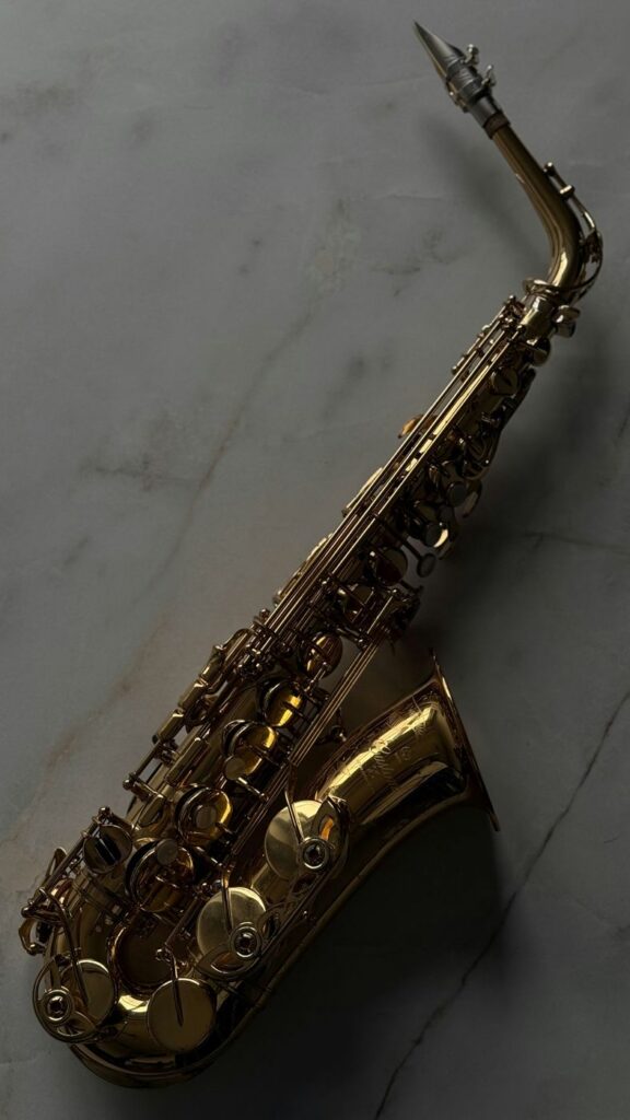Saxophon – Live-Saxophon zum DJ-Set