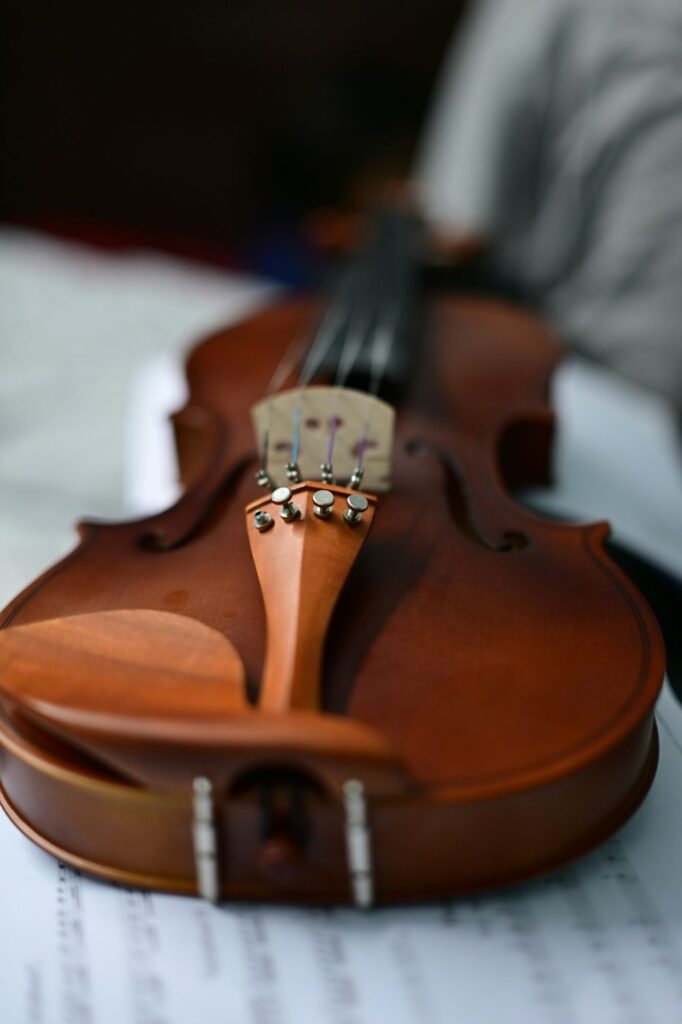 Violine – Live-Geige zum DJ-Set